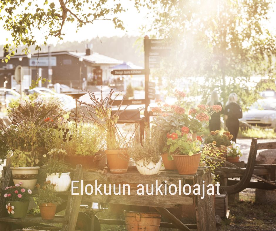 Maisemakuva Mathildedalin ruukinrannasta auringon laskiessa